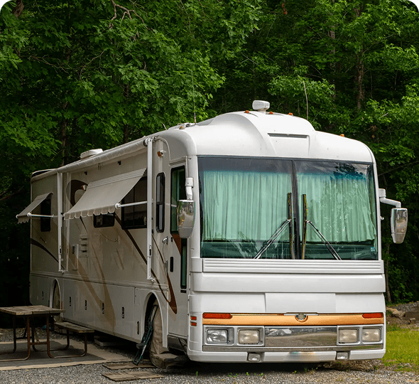 Campervan surrounded by green trees